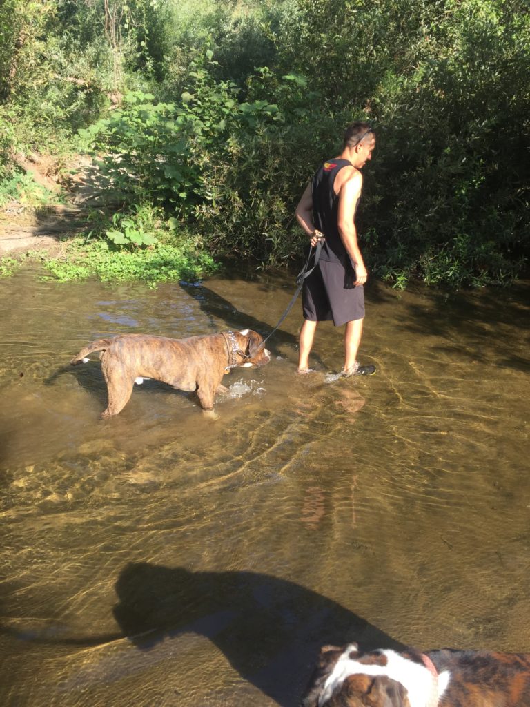 Our Weekend in Snapshots