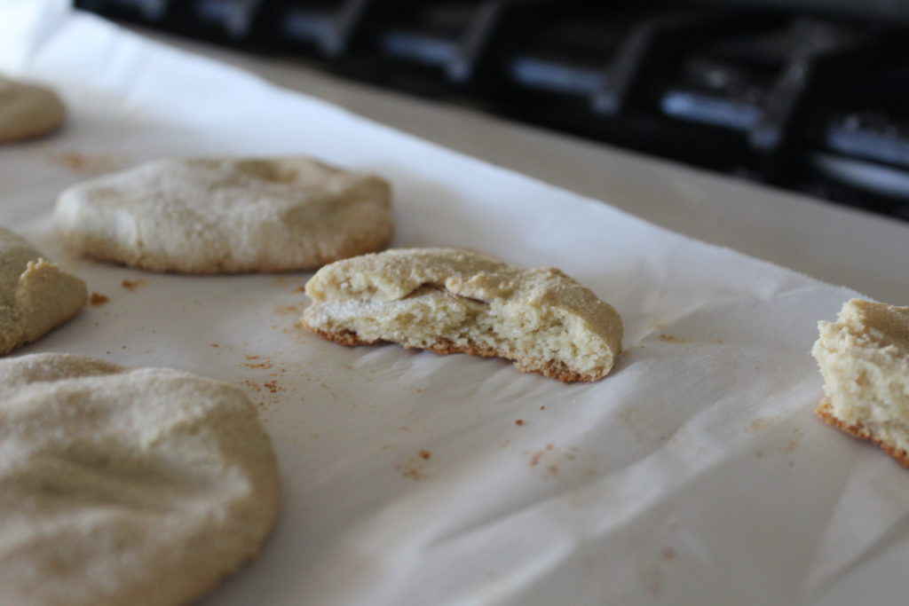 Grain Free Sugar Cookies with Dairy Free Frosting