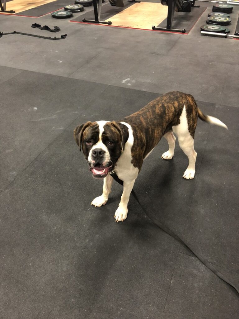 Weekly Workouts #1
