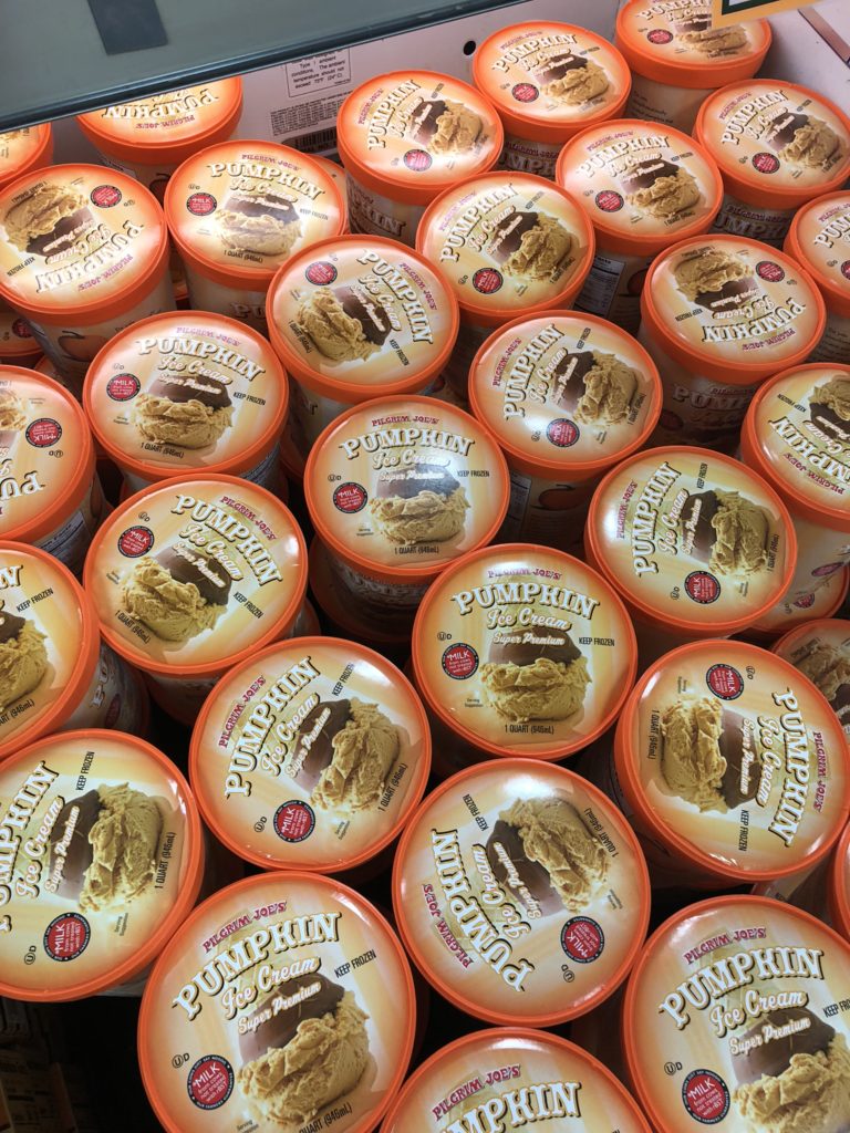 Dairy Free Pumpkin Ice Cream