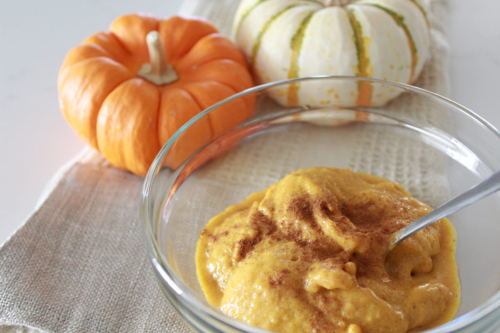 Dairy Free Pumpkin Ice Cream