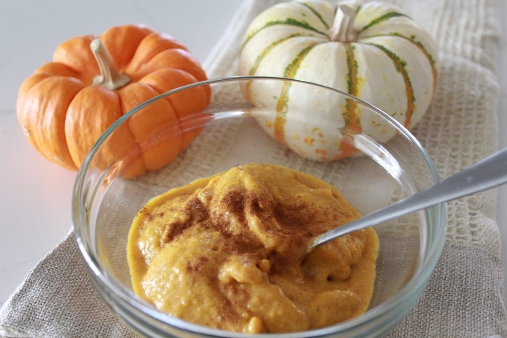 Dairy Free Pumpkin Ice Cream