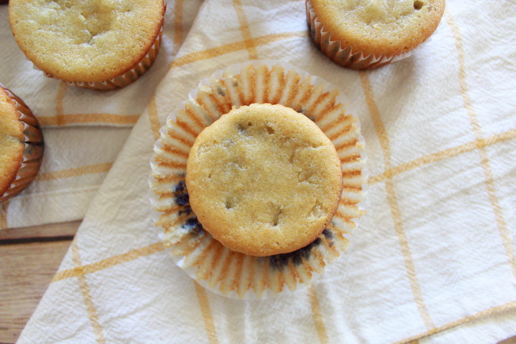 Almond Flour Paleo Blueberry Muffins