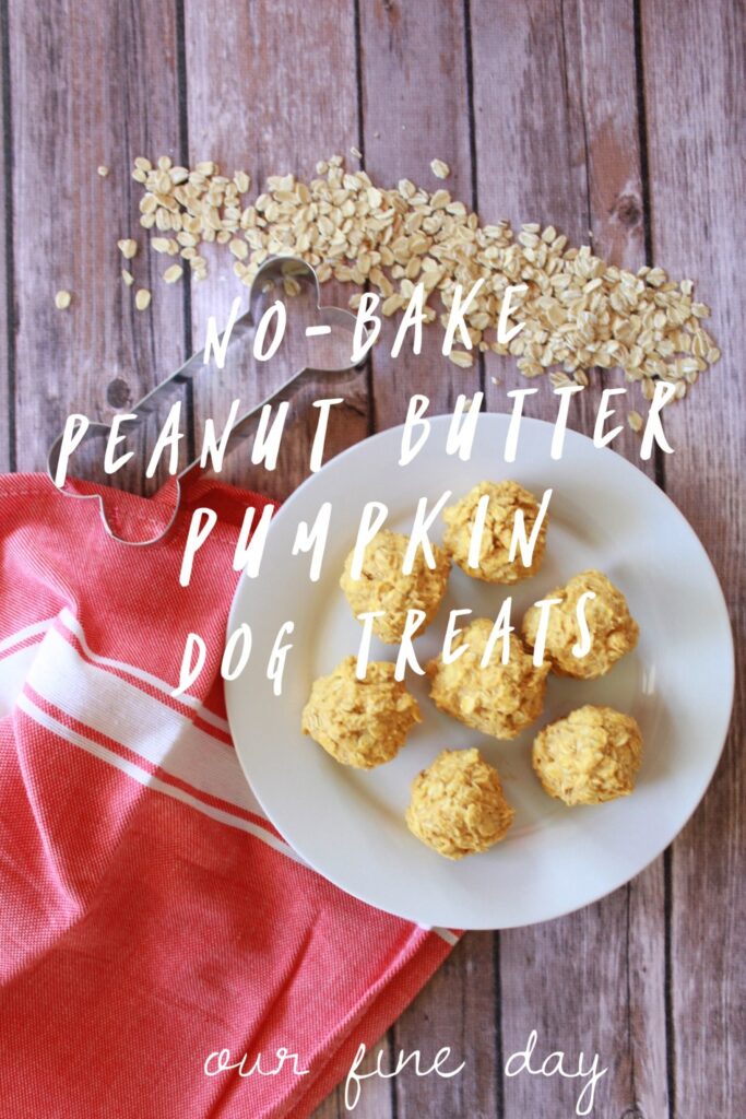 No-Bake Peanut Butter Pumpkin Dog Treats