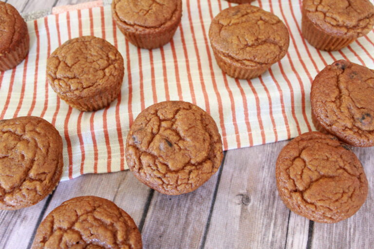 Paleo Pumpkin Chocolate Chip Muffins